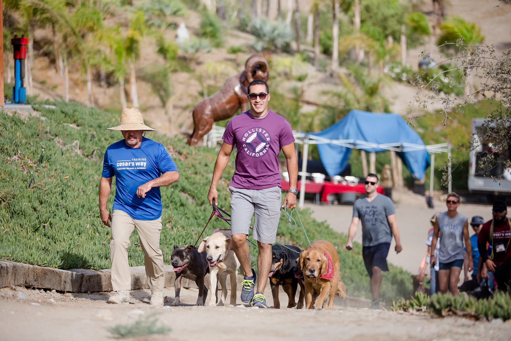 fady with cesar millan